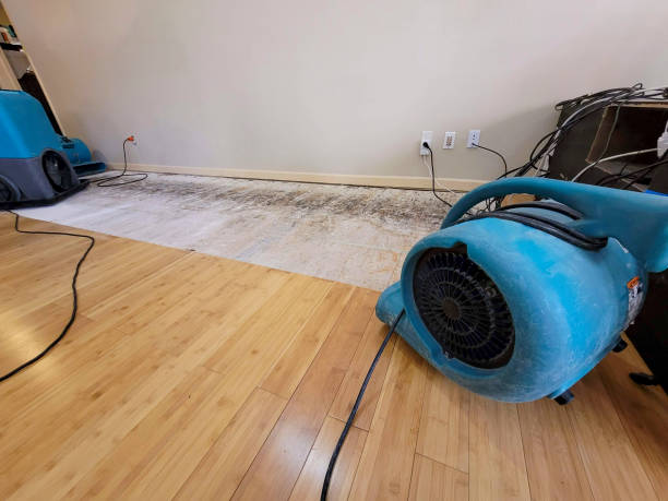 Professional Burst Pipe Water Damage technician working in Apex, NC
